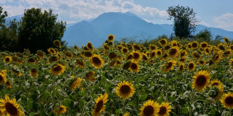 Mount Olympus, home of the ancient Greek gods, vies for World Heritage status