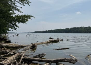 Attempt to save a struggling swimmer leaves 5 dead in an Ohio river