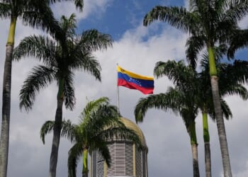 Venezuela confirms 3 people have died of hantavirus infections, with 2 more deaths suspected