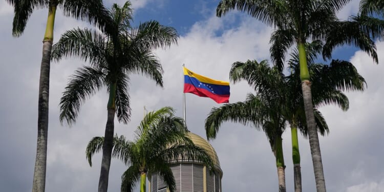 Venezuela confirms 3 people have died of hantavirus infections, with 2 more deaths suspected