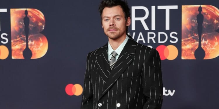 Harry Styles cancels concert in Brazil due to mystery illness