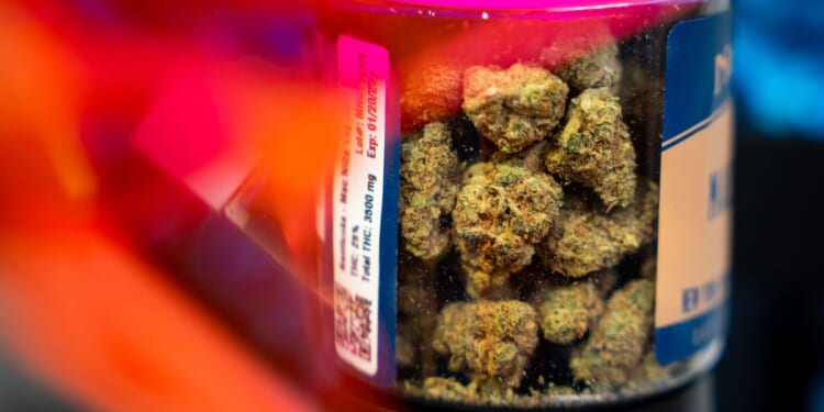 Marijuana drives sharp rise in workplace drug positivity, new report shows
