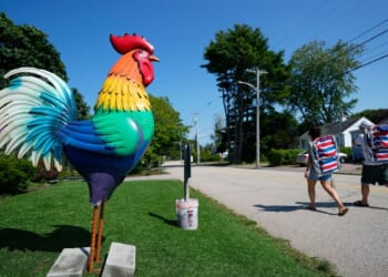 Giant metal roosters spread autism acceptance in Maine after town zoning spat