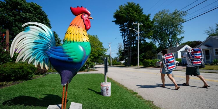 Giant metal roosters spread autism acceptance in Maine after town zoning spat