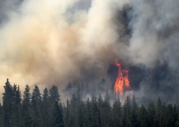 Oregon fire looms near town as 4th firefighter dies weeks after Colorado blaze