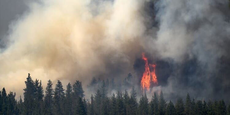 Oregon fire looms near town as 4th firefighter dies weeks after Colorado blaze
