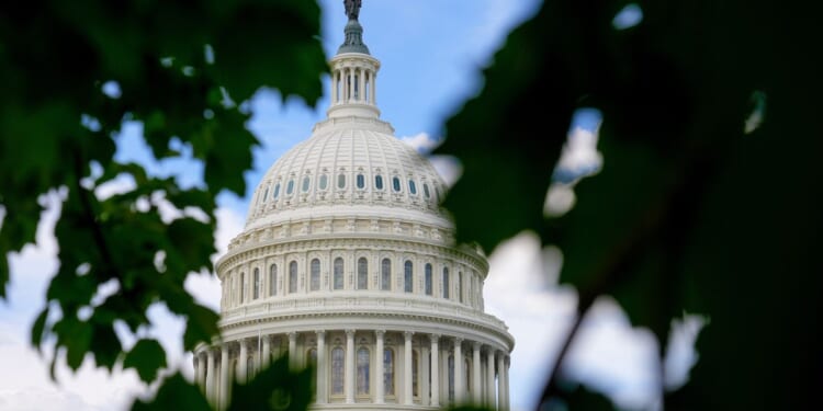 Georgia teen pleads guilty to gun charge for running onto Capitol grounds with loaded shotgun