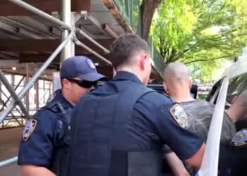 The suspect was taken into custody by New York City police officers after he barricaded himself in an apartment.
