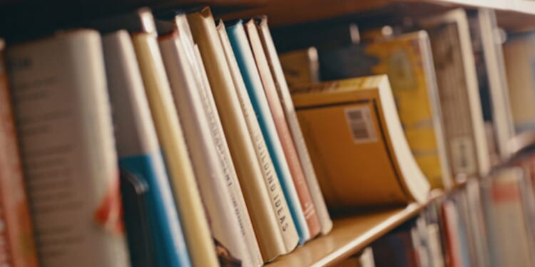Leaned books on a shelf are pictured.