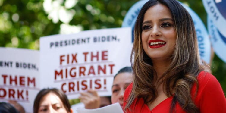 The deliberate targeting and defeat of politically moderate Democratic Assemblymember Jenifer Rajkumar, seen in a 2023 photo, exemplifies a troubling trend.