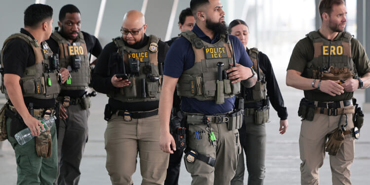 U.S. Immigration and Customs Enforcement released the names of five criminal illegal aliens arrested on July 14. Pictured: ICE agents at an airport