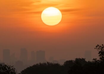 The sun rises over Richmond Park in west London on May 24, as temperatures increase to heatwave levels.