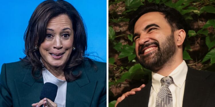 Former Vice President Kamala Harris is reportedly seeking advice from socialist New York City Mayor Zohran Mamdani.