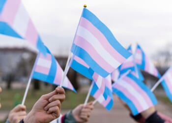 People hold up transgender flags outside on a cloudy afternoon.