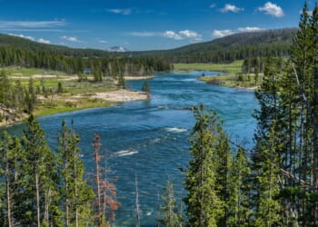A visit to a campsite on the Yellowstone River quickly turned into the scene of an emergency water rescue over the July Fourth weekend.