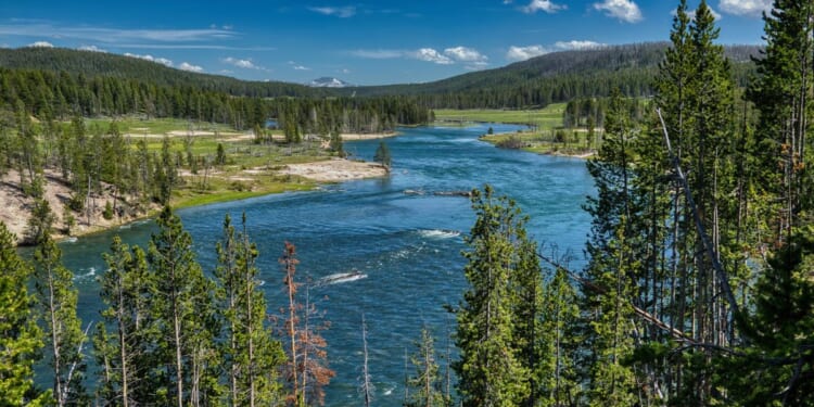 A visit to a campsite on the Yellowstone River quickly turned into the scene of an emergency water rescue over the July Fourth weekend.