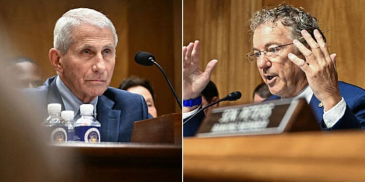 GOP Sen. Rand Paul of Kentucky, right, questions Dr. Anthony Fauci, left, Wednesday during a Senate Homeland Security and Governmental Affairs committee hearing on Capitol Hill in Washington, D.C.
