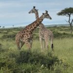 Reflections on My Trip to Africa | Women's League for Conservative Judaism