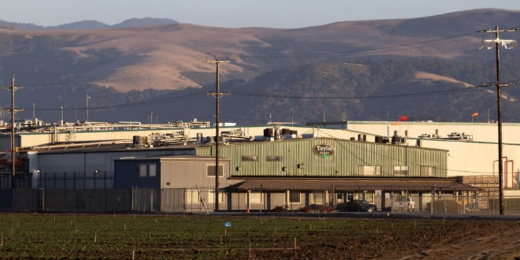 A Taylor Farms facility on July 17, 2026, in San Juan Bautista, California.