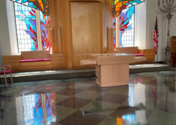 She Plants a Seed for the Future, a Torah Fund Special Project, Comes to Fruition | Women's League for Conservative Judaism