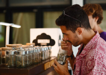 A man in a red shirt smells a jar filled with cannabis buds at a counter displaying several similar jars, while another person stands nearby.