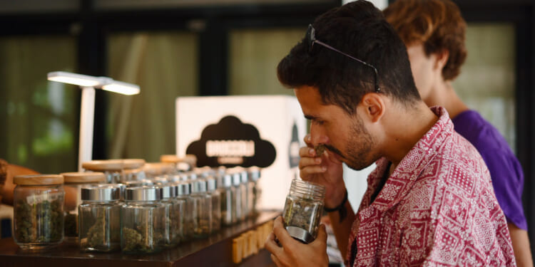 A man in a red shirt smells a jar filled with cannabis buds at a counter displaying several similar jars, while another person stands nearby.