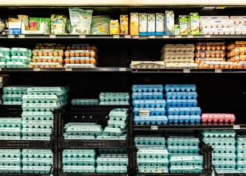 Eggs in a box in the refrigerated section of a Walmart store in Florida City, Florida, on Aug. 5, 2025.