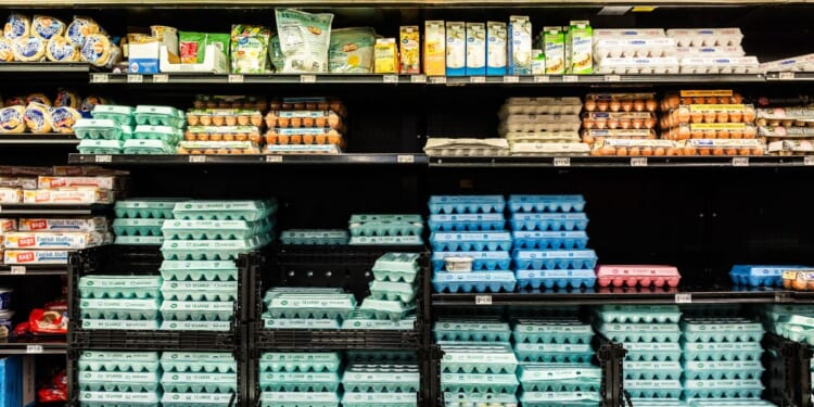Eggs in a box in the refrigerated section of a Walmart store in Florida City, Florida, on Aug. 5, 2025.