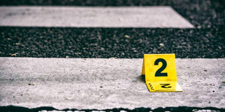 After the victim was knocked down, the driver reportedly kept backing up and ran over her.