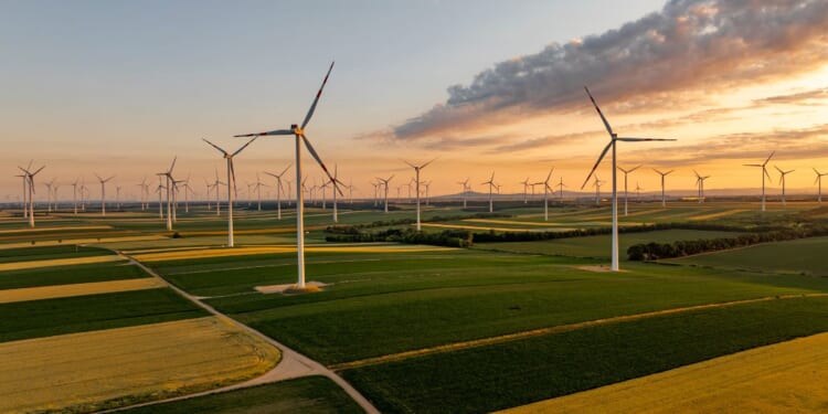 An expansive field with golden and green crops dotted with wind turbines under a serene sunset sky.