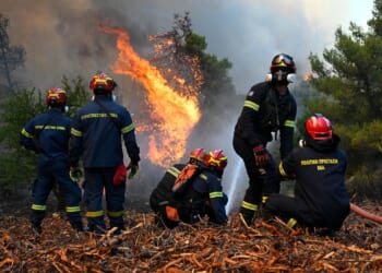 5 questions about the Greek and French wildfires