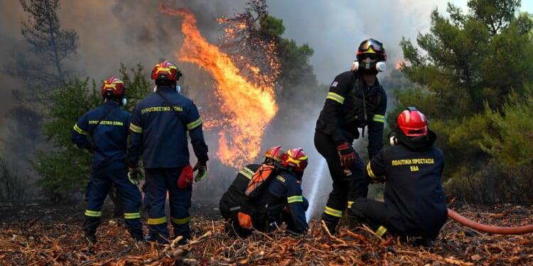 5 questions about the Greek and French wildfires