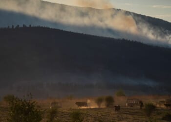 Wildfire destroys about 230 homes in western Canadian Indigenous community, officials say