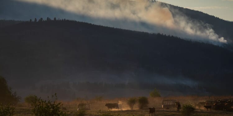 Wildfire destroys about 230 homes in western Canadian Indigenous community, officials say