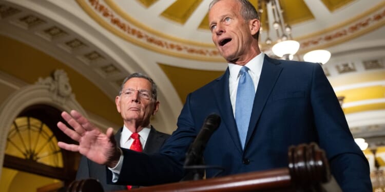 Thune suggests to ‘turn our fire on the Democrats’ on passing SAVE America Act