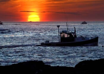Appeals court says fishermen’s claim in lobster defamation suit raises First Amendment questions