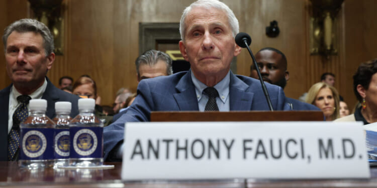 Former NIH Director Anthony Fauci testifies before the Senate Homeland Security and Governmental Affairs Committee hearing on July 29, 2026 in Washington, DC. Fauci was expected to be questioned about his diary entries during his handling of the Covid-19 pandemic. (Photo by Kevin Dietsch/Getty Images)