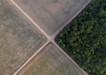 Brazil Supreme Court upholds laws that led to downfall of Amazon soy moratorium