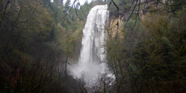 Kentucky man dies after falling 177 feet off Oregon waterfall