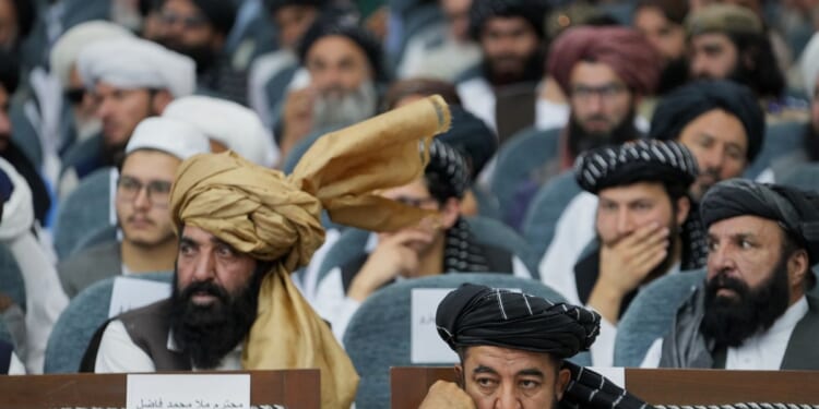 While Taliban leaders mark 5 years in power in Afghanistan, a U.N. official warns of a rights crisis