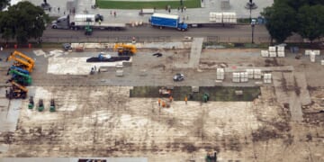 Trump blames vandals for damaged grass on National Mall