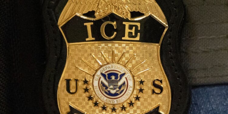ICE pitches legal insurance to help shield local officers who make immigration arrests