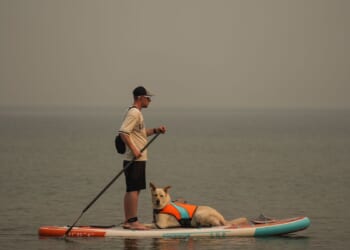 Wildfire in British Columbia harmed 150 structures and forced 20,000 to evacuate