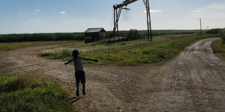 Watchdog calls for U.S. import ban as forced labor persists in Dominican sugarcane fields