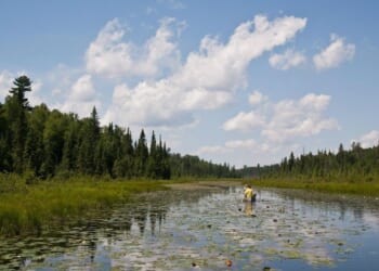 Minnesota governor signs order to slow down any mining efforts near Boundary Waters wilderness