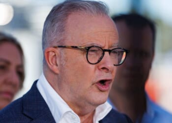 Australian PM Anthony Albanese slams states for stalling on national gun buyback