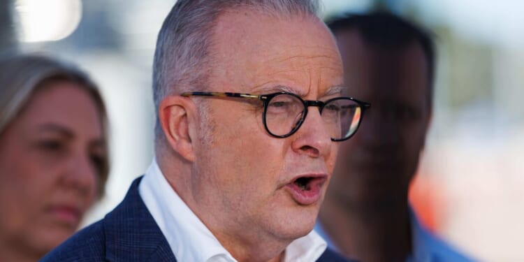 Australian PM Anthony Albanese slams states for stalling on national gun buyback