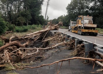 Crews work to restore power to thousands after Lala raked Hawaii