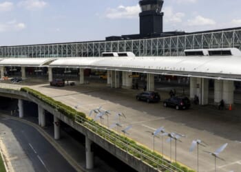 Customs agents at BWI seize mounds of khat stimulant