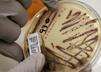 Alfalfa sprouts linked to food poisoning illnesses in Minnesota and Wisconsin